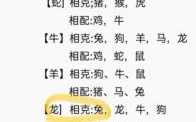 右的是什么生肖？右边的生肖是哪几个