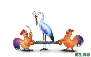 占枝头是什么生肖？飞上枝头打一肖