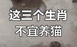 想吃猫的熊是什么生肖？吃猫――怪事打一生肖