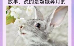 暗是什么生肖？暗字打一准确生肖