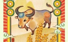 三九看数一味真是什么生肖？三九看数一味真正确答案