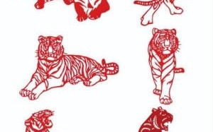 1962年属相是什么生肖？1962年的虎是什么虎