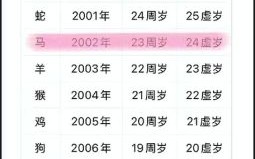 2025年是什么生肖？2025年是属龙还是蛇