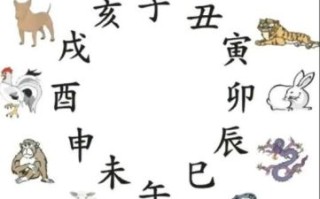 任劳任怨是什么生肖？任劳任怨打一准确动物