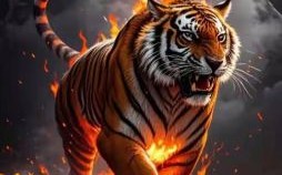 国的动物是什么生肖？占山为王的动物是什么生肖