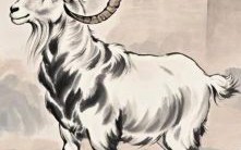 羊的兄弟是什么生肖？羊在玄学里代表什么
