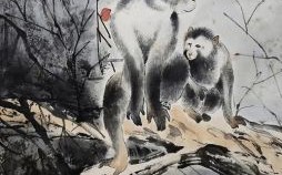 一叶舟是什么生肖？木已成舟是什么生肖