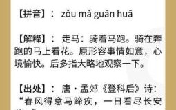 走马观花是什么生肖？走马观花打一准确动物
