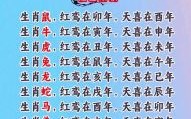 红波生肖是什么生肖？红波中打一准确生肖