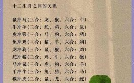 二八合七是什么生肖？二八合七最佳答案生肖