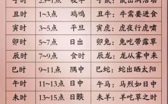 轻轻吼二四是什么生肖？二四算准是什么生肖呢