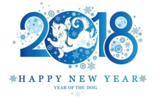 1991是什么生肖？九一属什么的生肖