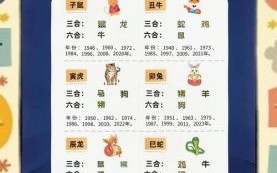 不三不四是什么生肖？不三不四正确一肖动物