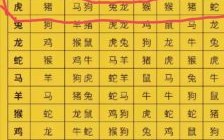 十二生肖南方肖是什么肖？南方的生肖是哪些肖请回答