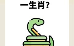 七觜八舌是什么生肖？七嘴八舌打一正确动物