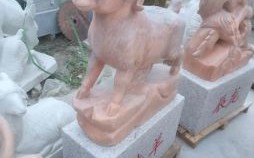 夕阳红是什么生肖？金黄夕阳红打一动物