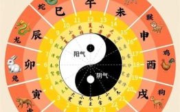 识二五而不知十是什么生肖？识二五不知十最佳答案