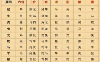 对冲生肖是什么？对冲生肖查询