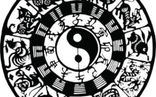 触电是什么生肖？触电正确答案一肖