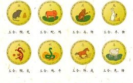 南方生肖是什么肖？南方正确三肖