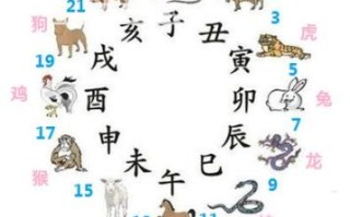 十二生肖琴棋书画肖是什么？十二生肖书肖是哪几肖