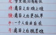 离婚是什么生肖？离婚解一生肖
