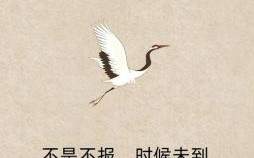 善恶到头是什么生肖？善恶有报最准确生肖