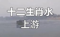 水上动物是什么生肖？水中有哪些动物