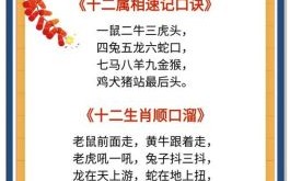 处处春是什么生肖？一春花事一春愁指什么生肖