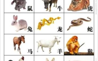 哥是什么生肖？哥字最正确的生肖