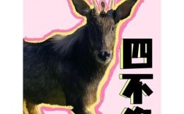 非常热的生肖是什么？热指的是什么动物