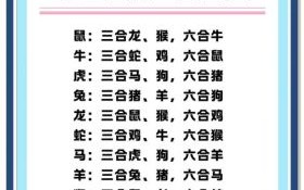 蝶蝶不休是什么生肖？喋喋不休的三大生肖