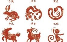 名是什么生肖？之字是什么生肖