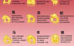 四七是什么生肖？四七最正确生肖