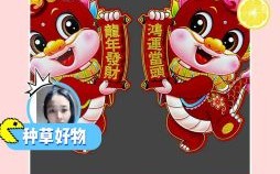 买一送一是什么生肖？买一送一是最佳生肖