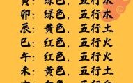 金木是什么生肖？金木打一准确生肖答案