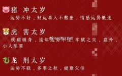 大将是什么生肖？大将打最佳一个生肖