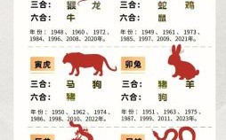 一而再再二三是什么生肖？一步三回头是什么生肖