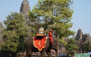 空中是什么生肖？空中楼阁正确答案动物