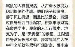 衣食无忧是什么生肖？衣食无忧打一精准生肖