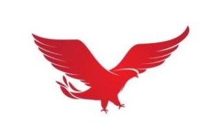 大红鹰是什么生肖？老鹰打一最佳生肖