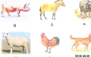 五谷丰登六畜旺是什么生肖？五谷丰登六畜旺打一正确