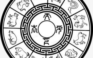 不文又不武是什么生肖？不文不武打一正确答案