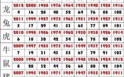 第八是什么生肖？8最正确的生肖