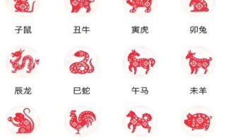 推是什么生肖动物？推字打一最佳动物