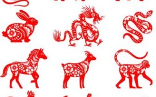 除旧布新是什么生肖？除旧布新打一动物