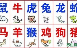 篝是什么生肖？炊指什么生肖