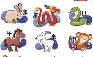 胖乎乎的生肖是什么？最会勾住男人心生肖女