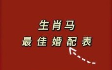 马后面的生肖是什么？属马跟什么属相犯冲