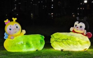 肖蝴蝶是什么生肖？蝴蝶是指哪个生肖